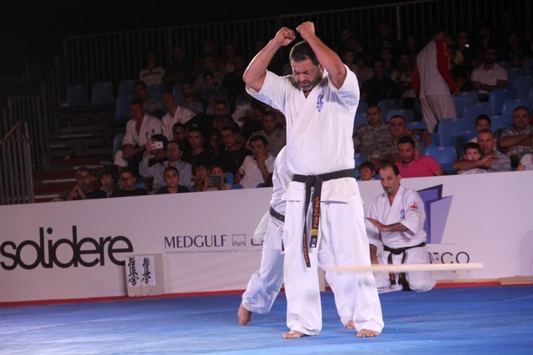 Martial Arts Festival